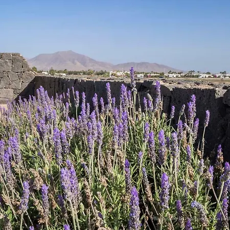 Villa Vista Papagayo Playa Blanca (Lanzarote)